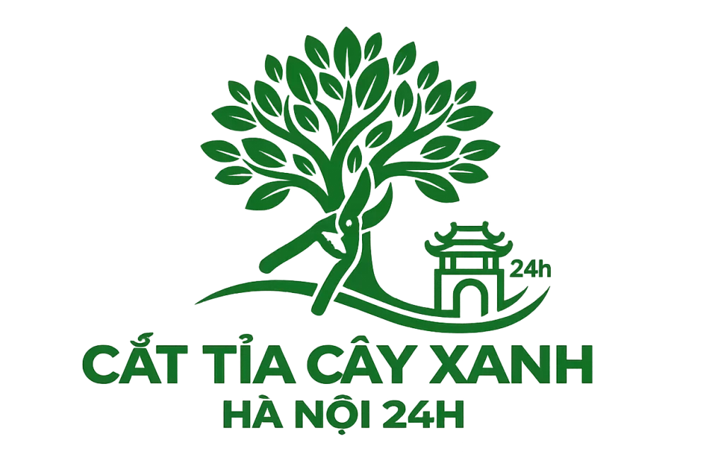 Cắt tỉa cây xanh Hà Nội 24h