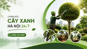 Trang Chủ