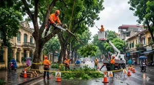 Quy Trình Cắt Tỉa Cành Cây An Toàn Mùa Mưa Bão Tại Hà Nội