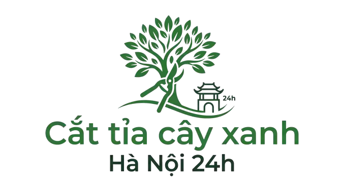 Cắt tỉa cây xanh Hà Nội 24h