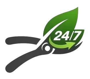 Cắt tỉa cây xanh Hà Nội 24h