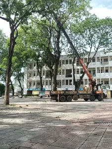 Trang Chủ