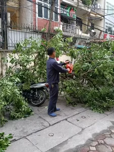 Trang Chủ